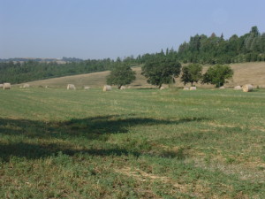 Agriturismo Siena